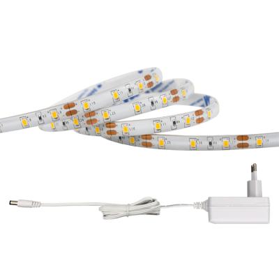 China LANDSCAPE SMD2835 Single Color 300leds 5m Controller With Power Adapter Led Strip Kit Light for sale