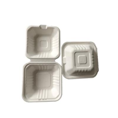 China Food Plant Materials Clamshell Renewable Biodegradable Compostable Takeaway Food Container for sale