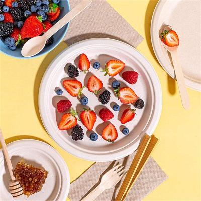 China 10 inch modern compostable disposable paper plate for party for sale