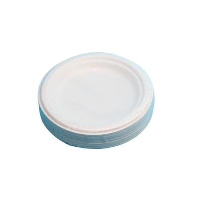 China Water And Oil Customized Disposable Sugar Cane Biodegradable Fast Food Plate 100% Resistant for sale