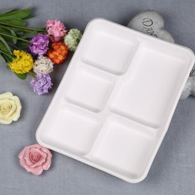 China Compostable Food Compartment 5 Stores for sale