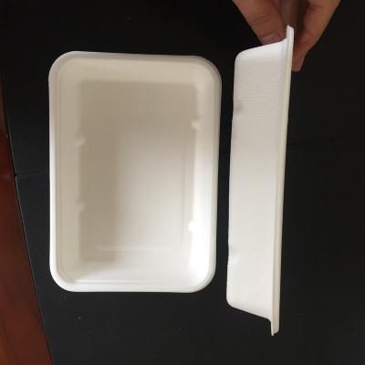 China Recycled Biodegradable Sugarcane Natural Bagasse Pulp Rectangle Sushi Tray Eco Friendly for sale