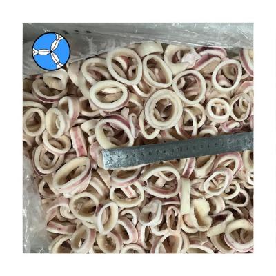 China SANFENG FROZEN SEAFOOD Blanched Frozen Squid Ring Skin On for sale