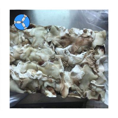 China Indian NATURE SANFENG SEAFOOD Squid Neck Jelly Cut for sale