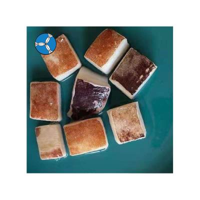 China New Season Nutritious Frozen Calamari IQF Squid Cube / Slice With Competitive Price for sale