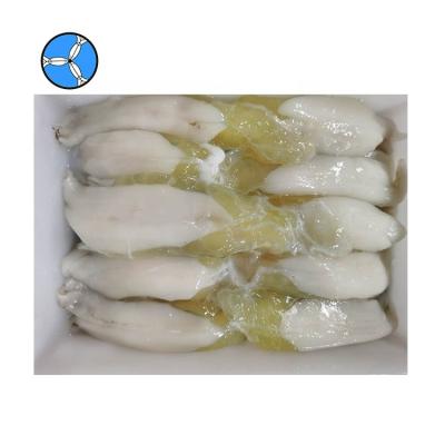 China SANFENG SEAFOOD Good Quality Illex Nutritious Frozen Squid Eggs for sale