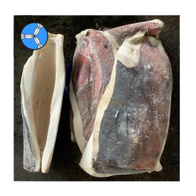 China SEAFOOD from NATURE SANFENG Peru Skin frozen on giant squid fillet export for sale