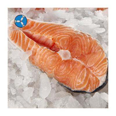 China Top Quality Low Fat Seafood Salmon Fish/Salmon Belly Frozen For Export for sale