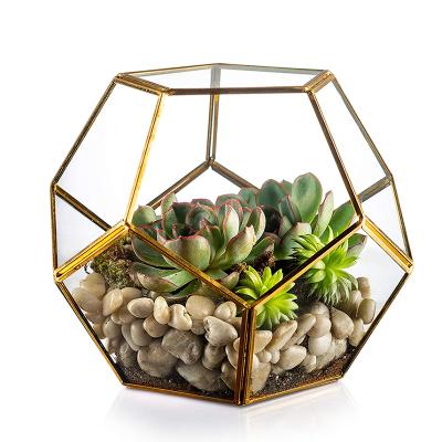 China Modern Eloquent Design Plants Geometric Mini Glass Greenhouse for sale