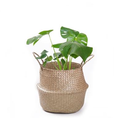 China Modern Natural Sea Grass Woven Foldable Belly Basket With Handle For Storage Flower Plant Pot for sale