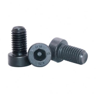 China Industry Best Standard Hex Bolt High Strength Hex Socket Head Bolts With Pan Head for sale