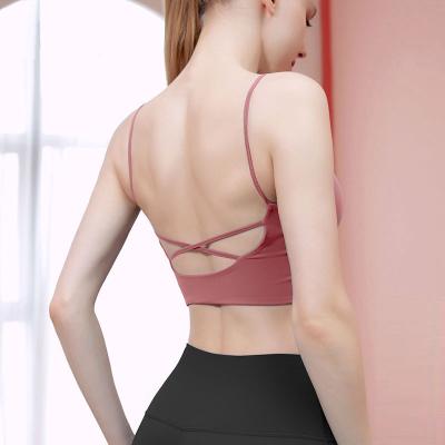 China Women's Breathable Yoga Sports Top Sports Bra Back Beauty Vest High Intensity Gathered Fitness Sports Yoga Top for sale