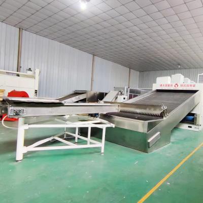 China Präzisions-Steuer-Chili Belt Dryer Multiple Drying-Zonen zu verkaufen