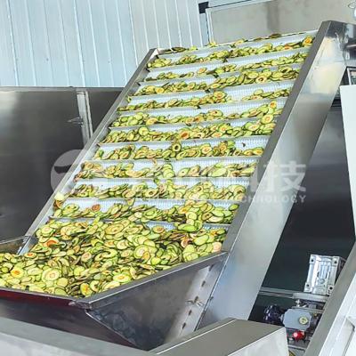 China Equipo de secado automático de aguacates tipo cinturón de Shouchuang en venta