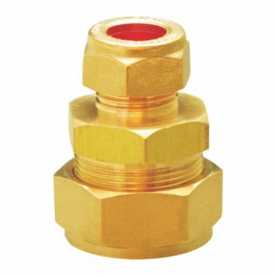 China Conector fêmea de bronze de cobre de encaixes de tubulação da refrigeração para R12 à venda