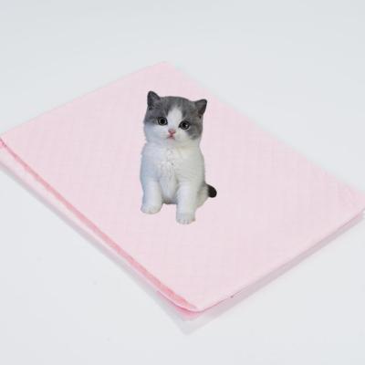 China Disposable Disposable super absorbent pet diaper dog training pee pads for custom logo for sale