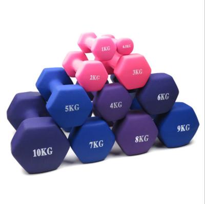 China Durable Home Gym Workouts Equipment Hand Strength Training Free Weights 6kg Hex Dumbbells For Women Men for sale