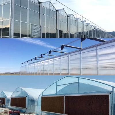 China Easily Assembled Heavy Duty Commercial Agriculture Greenhouse Wind Tunnel Houses Large Poly Greenhouse One Stop Gardening Parts Single-Span Greenhouses for sale