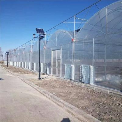 China ECO FRIENDLY Hot Sale And Easily Installed Industrial Multi Span Mill Greenhouse for sale