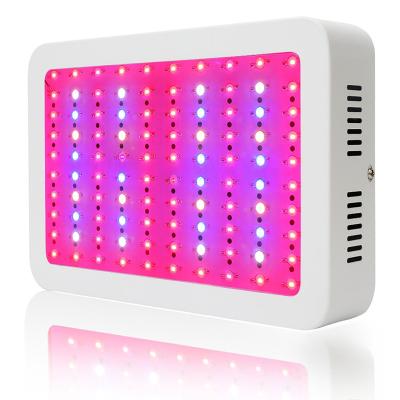 China FLOWER Greenhouse 300W Full Spectrum Grow Indoor LED Light Plant For Growing Light for sale