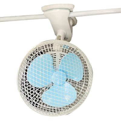 China No Clip 180MM Oscillating Fan For Hydroponics Grow Room Ventilation, 6 Inch Clip On Fan For Grow Tent for sale