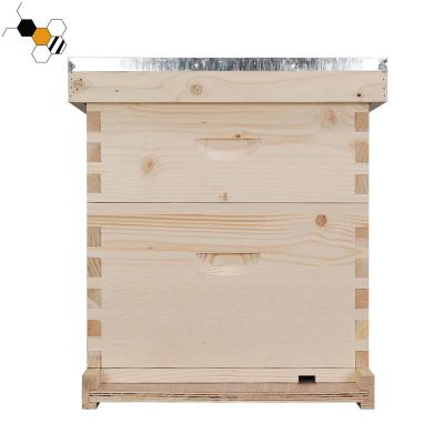 China Standard Bee Farm Beehive Plant Pine Wooden Box Langstroth Hive for sale