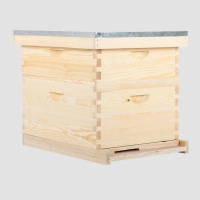 China Wooden Bee Farm 2 Layer 8 Frame Box Hive Langstroth Beehive For Beekeeper for sale