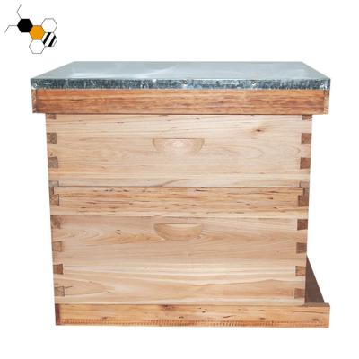 China With coated honey bee farm equipment bee amass wooden langstroth hive with coated wax for sale