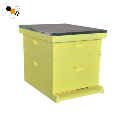 China Farms hot sale wooden bee amass 8 frame langstroth hive for sale