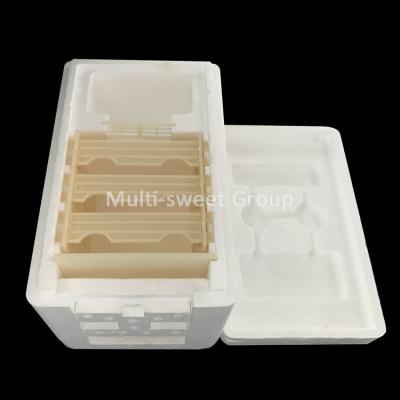 China New Style Beekeeping Mini Nuc Queen Bee Honey Box Polystyrene Hive Styrofoam Mating Boxes for sale