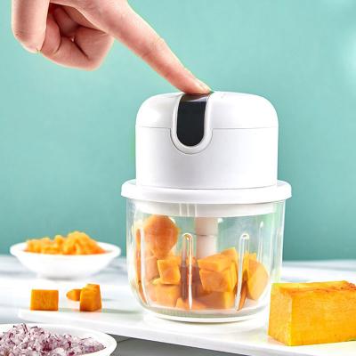 China Portable Food Chopper Grade Electric Mini Garlic Chopper With USB Charging zu verkaufen