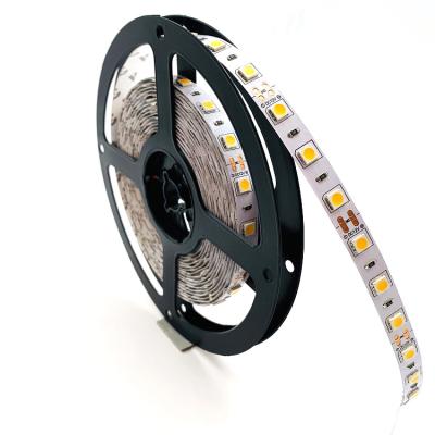 China Flexible hotel/home/shop/garden/landscape light DC12V 8mm PCB 60LEDS 5050smd 3chips RGB RGBW IP20 LED strip light for sale