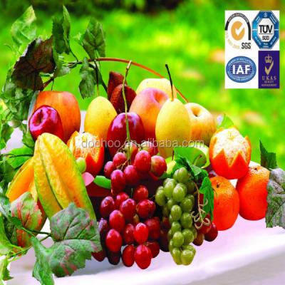 China China high deifnition 3D picture of fruits for place mat/postcard in PP/PET for sale