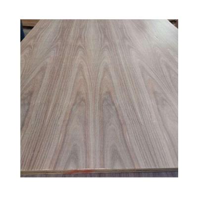 China Modern high quality melamine walnut veneer fast shipping dark plywood sheets cedar triplay for sale