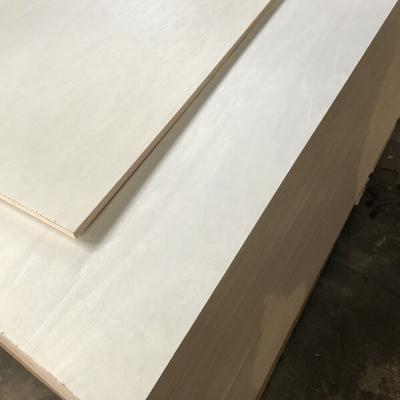 China Modern high quality poplar and pine laminated veneer plywood wood for sale