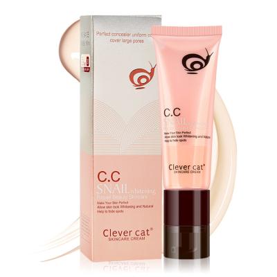 China Acne Treatment Adding Moisture Whitening Beauty Best Natural Cream Plastic CC Tubes Liquid Foundation for sale