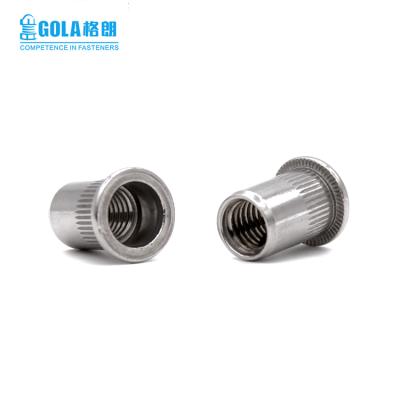 China 304/316 STAINLESS STEEL flat head rivet 304 nut amazon bestseller for sale