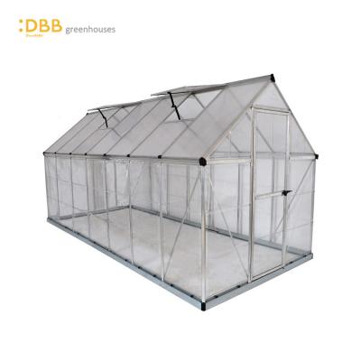 China China Manufacturer Easily Assembled 6x14 Twin Wall Roof Panels Garden Greenhouse Trims Ginger Greenhouse for sale