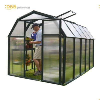 China Factory Price 6x10 Polycarbonate Single Storey Greenhouse Natural Aluminum Garden Greenhouse Easily Assembled for sale