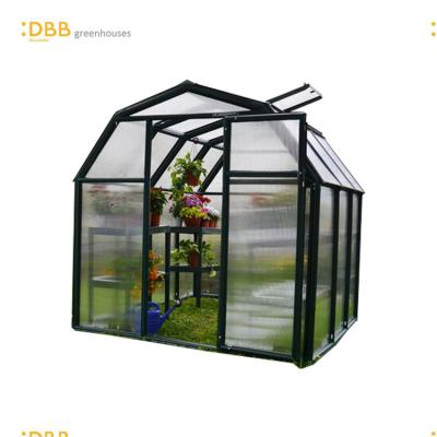 China Easily Assembled Hydroponic System 6x6 Greenhouse PVC Coated Plant Growth Mini Garden Indoor Greenhouse for sale