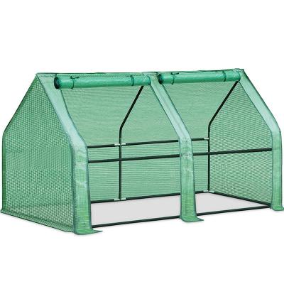 China Amazon Hot Sale 36*71*36 Inch Easily Assembled Green&Transparent PVC Cover Outdoor Plant Tent For Garden Backyard Plant Warmer House for sale