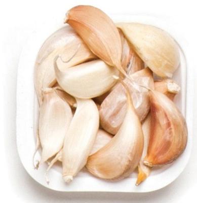 China Best quality fresh samples buy discount fresh garlic seeds in china for sale