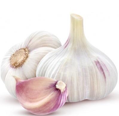 China Fresh Silver Soft Neck Garlic Rose for sale