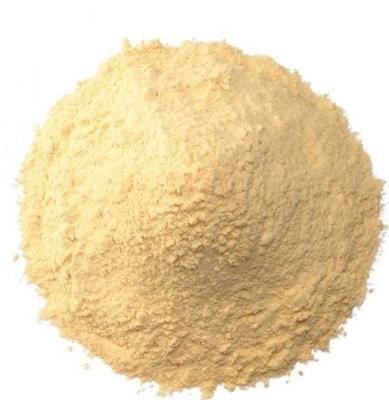 China Thailand Condiments Fresh Organic Spices Dehydrated Garlic Powder for sale