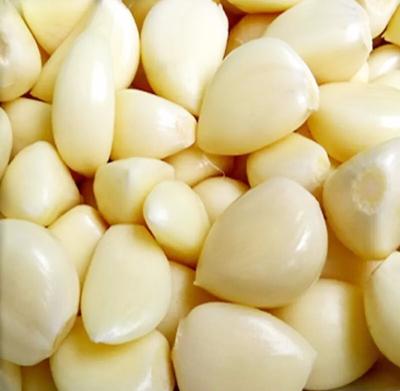 China Most affordable fresh best quality fresh crops no root freeze garlic cloves that are peeled on sale for sale