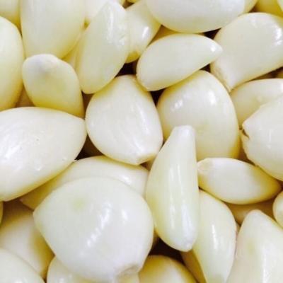 China Most Affordable Fresh Pure Garlic Vegetable Fresh Crops Without Root Custom Peeled Garlic New For Sale for sale