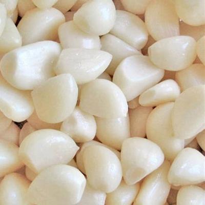 China Cheap garlic fresh vacuum packed china vegetable fresh cultures without peeled root garlic on sale for sale