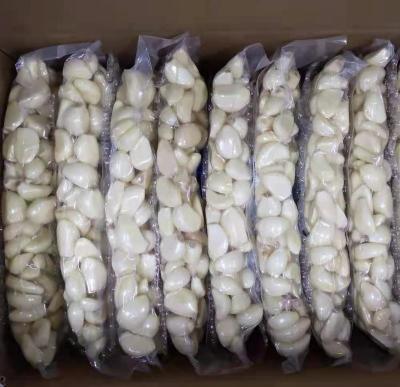 China Low price factory purchase low price china crops vegetable fresh garlic hot sale custom size vacuum garlic peeled for sale