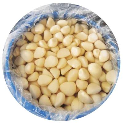 China China high quality fresh cultured garlic garlic price vegetable brined custom for sale for sale