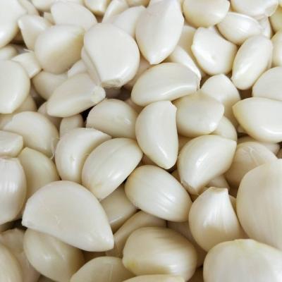 China Fresh china fresh garlic vegetable top without root price brine garlic custom for sale for sale